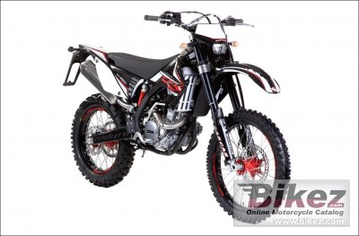 2010 GAS GAS EC 250 4T photo